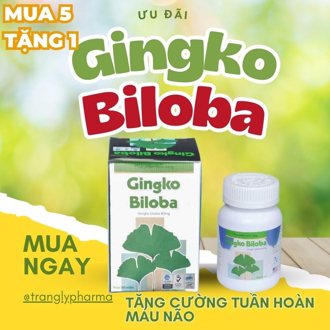 Ginkgo Biloba Gi P T Ng C Ng Tu N Ho N M U N O L Vi N