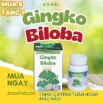 Ginkgo Biloba giúp tăng cường tuần hoàn máu não lọ 60 viên