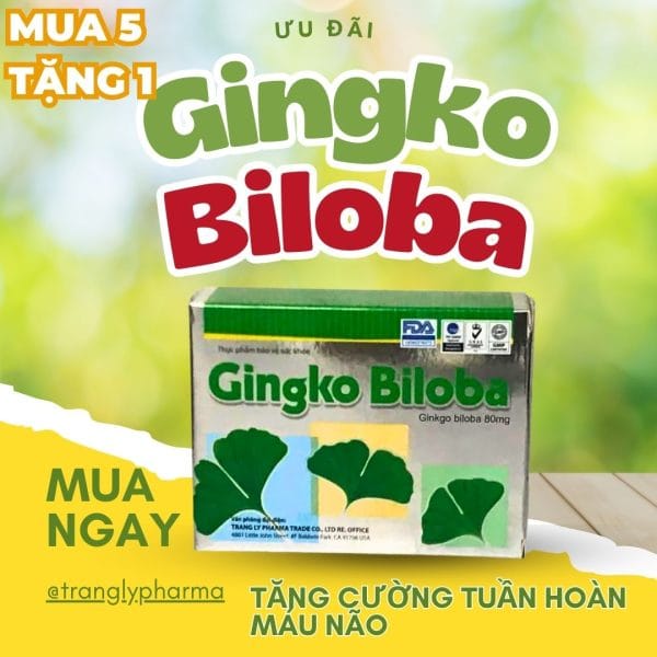 Ginkgo Biloba giúp tăng cường tuần hoàn máu não hộp 30 viên