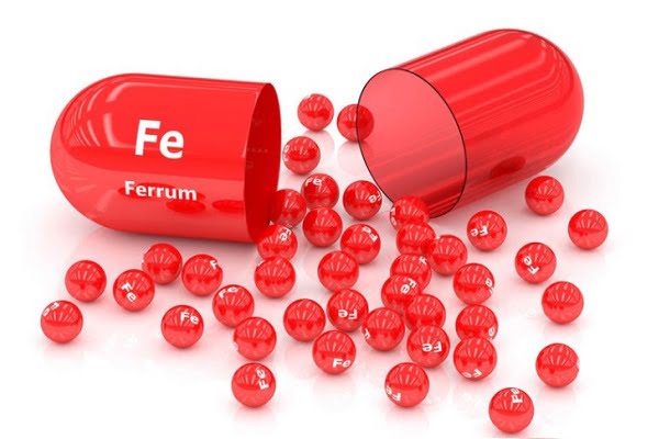 sat co vai tro gi doi voi co the | Trang Ly Pharma