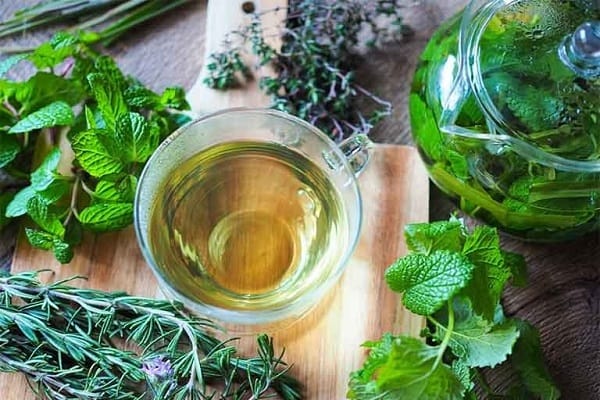 Các bài thuốc chữa bệnh từ cây cỏ mực