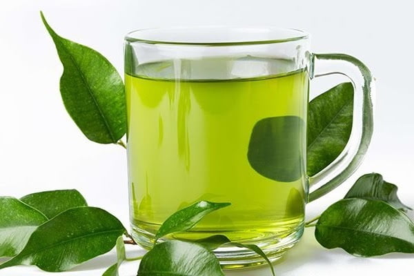 Lá sung nấu nước uống có tác dụng gì? 6 lợi ích cho sức khỏe