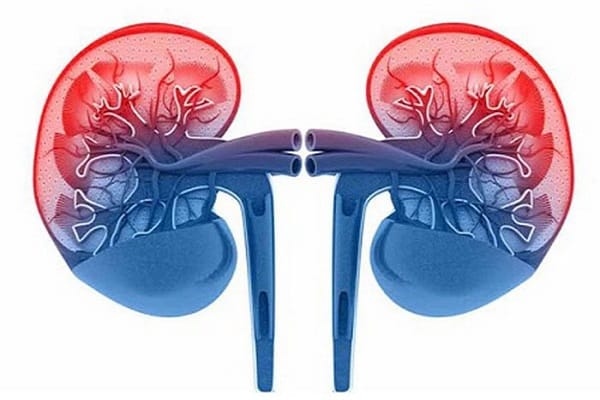 Nguyên tắc lựa chọn thực phẩm cho bữa sáng tốt cho thận