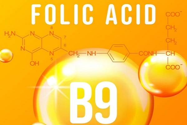 Acid Folic là gì