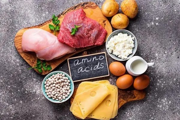 Có bao nhiêu loại Axit amin thiết yếu, có vai trò gì với cơ thể?