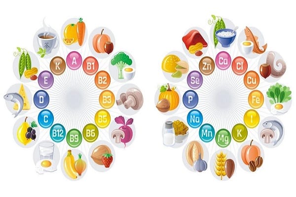 Danh sách các vitamin và khoáng chất cần thiết cho cơ thể