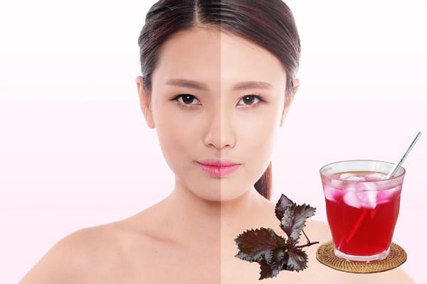 Giải đáp thắc mắc: Uống nước lá tía tô có trắng da không? 