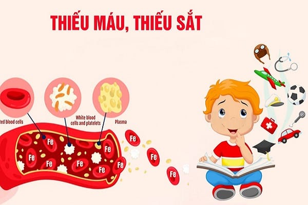 Nguyên nhân khiến trẻ bị thiếu máu thiếu sắt là gì?